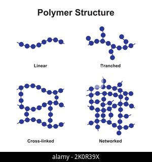 Conception scientifique de la classification de la structure des polymères. Polymère et ses types. Symboles colorés. Illustration vectorielle. Illustration de Vecteur