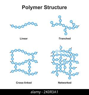 Conception scientifique de la classification de la structure des polymères. Polymère et ses types. Symboles colorés. Illustration vectorielle. Illustration de Vecteur