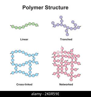 Conception scientifique de la classification de la structure des polymères. Polymère et ses types. Symboles colorés. Illustration vectorielle. Illustration de Vecteur