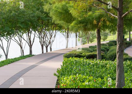 Un sentier à côté d'un lac par une belle journée d'été. Banque D'Images