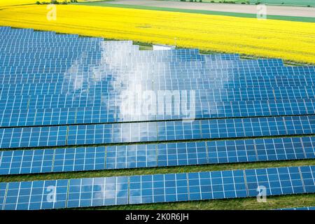 Panneau solaire pour la production d'électricité à courant continu dans le champ jaune. Photovoltaïque et ressource alternative de l'énergie, vue aérienne Banque D'Images