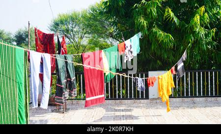 Ligne de linge avec des vêtements sur fond d'arbre vert. Séchage du linge sur le toit. Banque D'Images