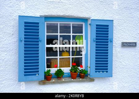 Volets bleus et pots de fleurs sur le seuil de la fenêtre St.Mawes Banque D'Images