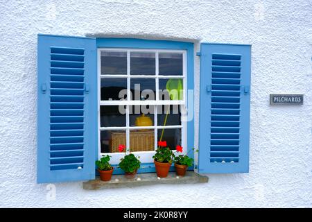 Volets bleus et pots de fleurs sur le seuil de la fenêtre St.Mawes Banque D'Images
