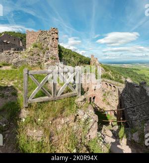 Château de Saint-Ulrich, Ribeauville, , France, château, forêt, bois, arbres, été, montagnes, Collines, *** Légende locale *** France Banque D'Images