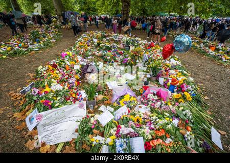 Londres, Royaume-Uni. 13 septembre 2022. Malgré la pluie, les membres du public continuent d'apporter des fleurs et des messages personnels de condoléances à Green Park près du palais de Buckingham pour exprimer leur tristesse et leur sympathie après le décès de la reine Elizabeth II, le plus long monarque britannique qui a servi, mort au château de Balmoral le 8 septembre. Des millions de visiteurs devraient descendre à Londres pour voir le cercueil de sa Majesté la reine Elizabeth qui sera couché dans l'État à Westminster Hall pendant quatre jours jusqu'à l'enterrement de sate le lundi 19 septembre crédit: amer ghazzal/Alamy Live News Banque D'Images