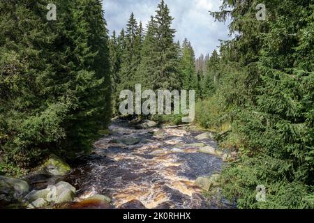 Rivière sauvage Vydra dans le parc national de Sumava (Bohmerwald), Tchéquie. Ruisseau avec des rochers et des rapides passe à travers la forêt. Banque D'Images