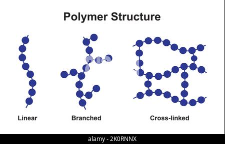 Conception scientifique de la classification de la structure des polymères. Polymère et ses types. Symboles colorés. Illustration vectorielle. Illustration de Vecteur