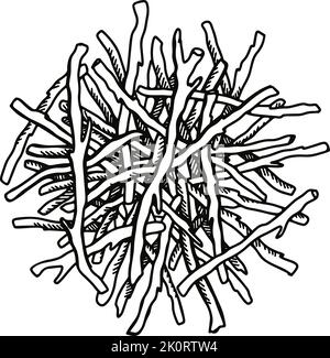 Racines séchées dessinées à la main isolées sur fond blanc. Illustration de vecteur botanique dans le style d'esquisse. Illustration de Vecteur