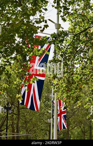 Les travailleurs ont installé les syndicats Jacks dans le centre commercial devant le funéraire d'État de la reine Elizabeth II. The Mall, Londres. ROYAUME-UNI Banque D'Images