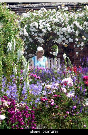 LES VISITEURS DE L'ABBAYE DE MOTTISFONT PRÈS DE ROMSEY, HANTS, PROFITENT D'UNE EXPOSITION SPECTACULAIRE DE ROSES DANS LES CÉLÈBRES JARDINS DE L'ABBAYE. PHOTO MIKE WALKER, PHOTOS MIKE WALKER, 2014 Banque D'Images