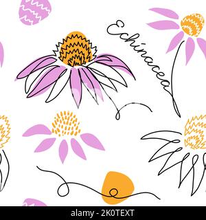 Echinacea purpurea, motif vectoriel sans couture des coneflores. Un dessin en ligne continue avec une fleur d'échinacée Illustration de Vecteur