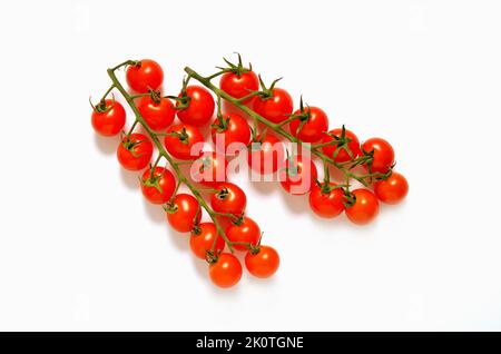 Piccolo tomates vignes du dessus isolé sur fond blanc découpé Banque D'Images