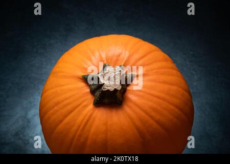 Citrouille d'orange avec tige coupée, l'automne ou encore la vie d'automne pour Thanksgiving et Halloween. Banque D'Images