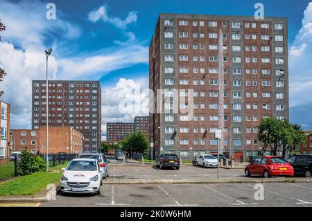 Rangée de blocs de tours destinés à la régénération sur le domaine de Gascoigne, à Barking, est de Londres, Angleterre, Royaume-Uni. Banque D'Images