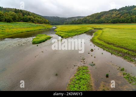 Le lac Edersee, près de Waldeck, le troisième plus grand réservoir d'Allemagne, est actuellement à un peu moins de 13% de son niveau normal, le lac était rempli pour la dernière fois en mai 2022, rd Banque D'Images