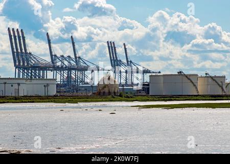 DP World London Gateway Port grues Banque D'Images