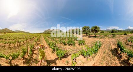 Panorama aérien à 360 degrés de la femme dans les vignobles en terrasse de l'île Corse de France au coucher du soleil. Célèbre pour ses dégustations de vins et ses visites guidées. Banque D'Images