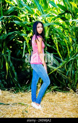 Célébration d'automne Portrait d'une jeune femme asiatique dans un labyrinthe de maïs Banque D'Images