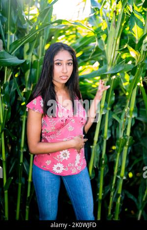 Célébration d'automne Portrait d'une jeune femme asiatique dans un labyrinthe de maïs Banque D'Images