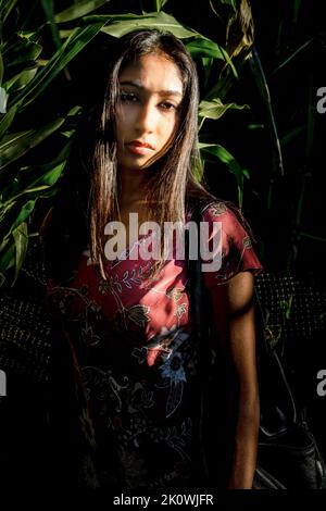 Célébration d'automne Portrait d'une jeune femme asiatique dans un labyrinthe de maïs Banque D'Images