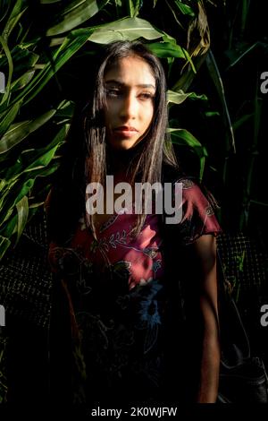 Célébration d'automne Portrait d'une jeune femme asiatique dans un labyrinthe de maïs Banque D'Images