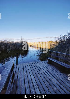 Vue sur une jetée en bois sur un grand lac d'écrevisses. Réserve naturelle de l'État cancer Lakes, Saint-Pétersbourg. Vue sur un grand lac d'écrevisses. Réserve naturelle d'état Banque D'Images