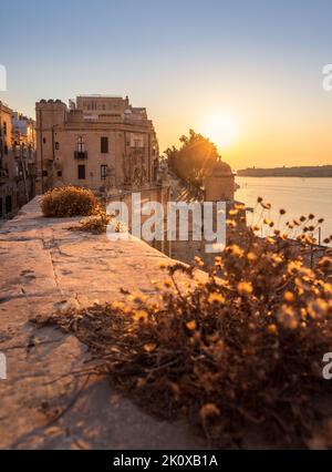 Lever de soleil au-dessus de la porte Victoria à la Valette. Banque D'Images