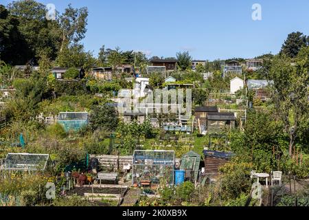 Un lotissement communautaire dans le centre d'Edimbourg avec des hangars et serres Banque D'Images