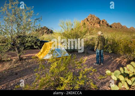 Campeur au camping près de la montagne Ragged Top, le buisson de créosote devant, Silver Bell Mtns, Sonoran Desert, Ironwood Forest Natl Monument, Arizona, États-Unis Banque D'Images