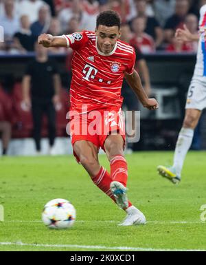 Munich, Allemagne. 13th septembre 2022. Football : Ligue des Champions, Bayern Munich - FC Barcelone, Groupe, Groupe C, Journée de rencontre 2 à Allianz Arena. Jamal Musiala de Munich en action. Credit: Sven Hoppe/dpa/Alay Live News Banque D'Images