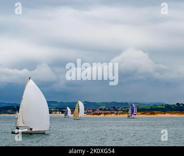 Compétition de voile dans la baie de Santander sous un ciel nuageux Banque D'Images