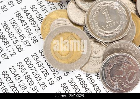 Coins Polish Zloty PLN et une feuille de calcul Banque D'Images