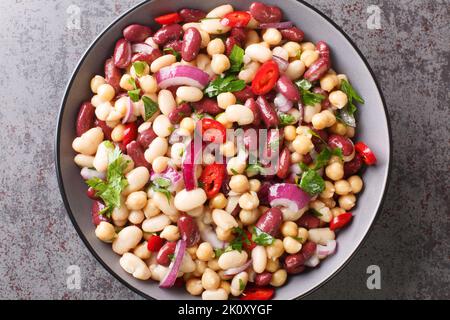La salade américaine de pique-nique à trois haricots contient des haricots canellini, des haricots rouges, des haricots garbanzo, des oignons rouges, du persil et une vinaigrette aigre et douce en gros plan dans la p Banque D'Images