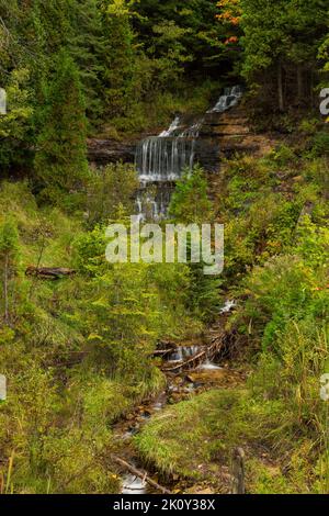 Chute d'eau d'Alger Falls en automne Banque D'Images