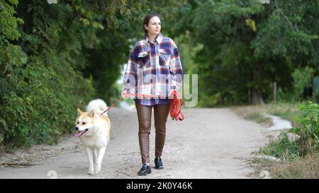 Une fille marche son chien Akita inu dans la rue sur une laisse. Le chien et la maîtresse marchent le long d'une route rurale. Banque D'Images