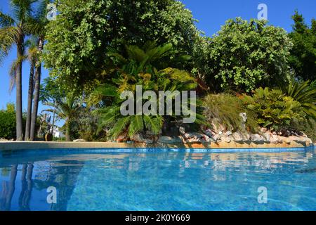 Piscine et rockery au bord de la piscine dans le jardin méditerranéen par beau jour d'été Banque D'Images