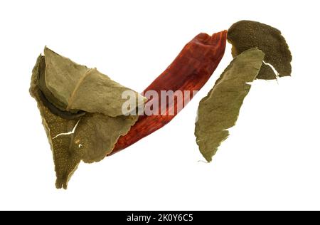 Un piment rouge unique avec des feuilles de citron vert kaffir isolées sur un fond blanc. Banque D'Images