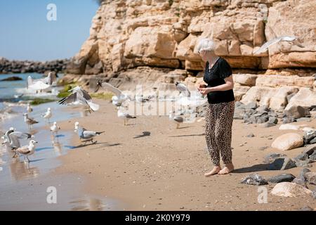 Une femme âgée en lunettes de soleil foncées nourrit des mouettes sur la plage Banque D'Images