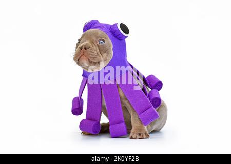 Drôle de chien Bulldog porte le costume pourpre de chien poulpe Halloween sur fond blanc Banque D'Images