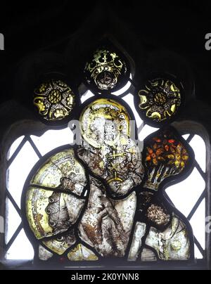 Vitraux de 15th siècles représentant St Christopher transportant le Christ de l'autre côté de la rivière, église St Sidwell, Laneest, Cornouailles Banque D'Images
