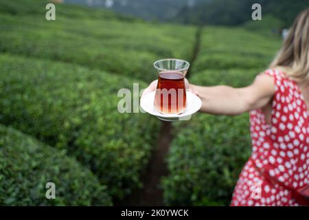 Femme en robe rouge à pois offrant un verre traditionnel de thé noir turc avec des rangées de plantations de thé sur des collines en terrasse en arrière-plan Banque D'Images