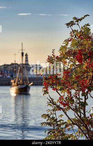 Alnes on Godøy, Sunnmøre, Møre og Romsdal, Norvège. Banque D'Images