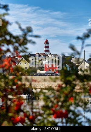 Alnes on Godøy, Sunnmøre, Møre og Romsdal, Norvège. Banque D'Images