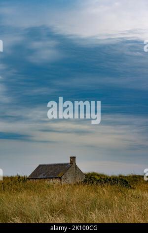 Bâtiment abandonné et abandonné au milieu de l'herbe à St Cyrus NNR, aberdeenshire scotland, royaume-uni Banque D'Images