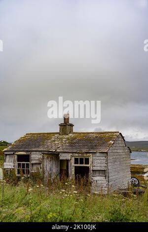 Bâtiment abandonné et abandonné au milieu de l'herbe à St Cyrus NNR, aberdeenshire scotland, royaume-uni Banque D'Images