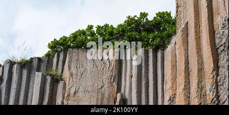 falaise de basalte naturelle en colonnes avec plantes en haut Banque D'Images