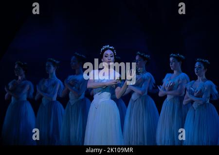 Londres, Royaume-Uni. 13th septembre 2022. United Ukrainian Ballet interprète Giselle au London Coliseum. Dirigée par le célèbre chorégraphe Alexei Ratmansky et mettant en vedette des artistes invités Katja Khaniukova et Alina Cojocaru, la Compagnie complète des danseurs réfugiés d'Ukraine ont tous leur propre histoire de quitter leurs maisons pour rejoindre la Compagnie. Soutenu par l'Opéra national anglais et le Birmingham Royal Ballet, qui fournissent les costumes, le set et l'orchestre. Credit: Guy Corbishley/Alamy Live News Banque D'Images