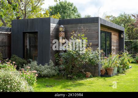 Jardin suburbain à Pinner, Middlesex, avec éco-aménagement durable salon studio jardin avec revêtement noir et cèdre et verger séjour sedum toit. Banque D'Images