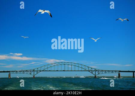 Un mouette glisse dans le ciel d'été au-dessus de la baie de long Island, à la vue de la chaussée Robert Moses Banque D'Images